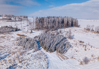 Image showing Aerial view of spruce tree in deforested landscape