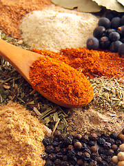 Image showing Spices