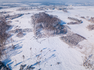 Image showing Aerial view of spruce tree in deforested landscape