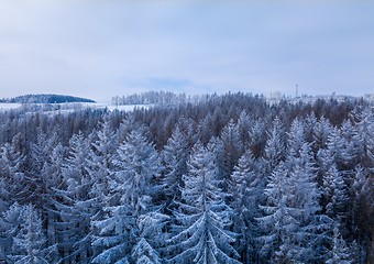 Image showing Aerial top down view of beautiful winter forest treetops.