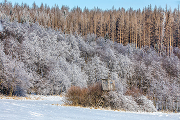 Image showing Winter hunting tower covered with snow