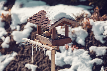 Image showing birdhouse in winter garden