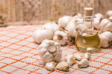 Image showing Organic garlic