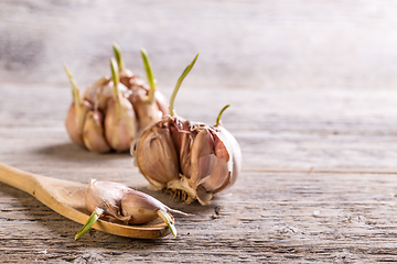 Image showing Garlic cloves