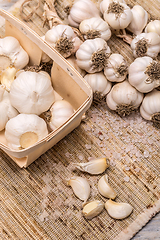 Image showing Organic garlic