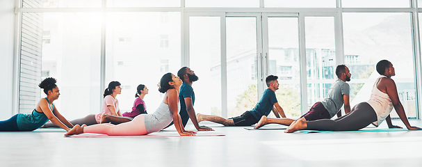 Image showing Yoga class, fitness and exercise with people together for health, diversity and wellness. Men and women in zen studio for holistic workout, mental health and body balance with cobra mockup on ground