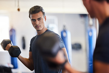 Image showing Fitness, mirror or man with dumbbells at gym training, exercise or workout for body goals or wellness. Motivation, sports or healthy athlete weightlifting for biceps muscle growth isolated in studio