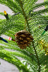 Image showing Christmas decoration