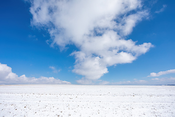 Image showing Simple winter background with blue sky