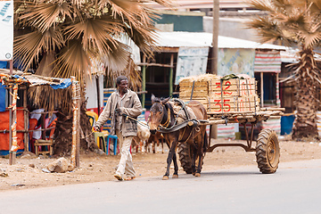 Image showing Ethiopian man with a horse-drawn carriage on the street