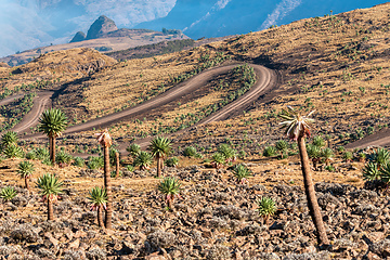 Image showing Semien or Simien Mountains, Ethiopia