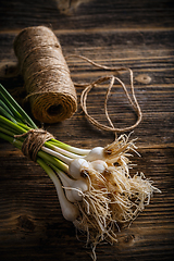 Image showing Fresh green garlic