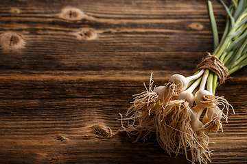 Image showing Bunch of fresh garlic