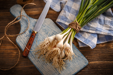 Image showing Spring organic garlic