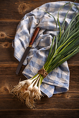 Image showing Bunch of organic fresh garlic