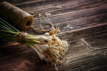 Image showing Green garlic leaves