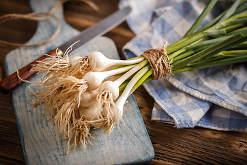 Image showing Fresh green garlic