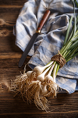 Image showing Bunch of fresh garlic