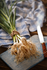 Image showing Bunch of fresh garlic