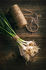 Image showing Organic fresh garlic