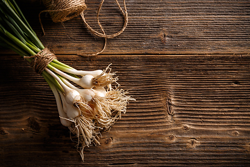 Image showing Young fresh spring organic garlic