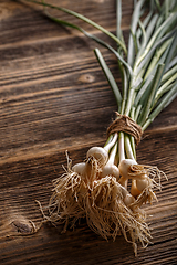 Image showing Spring organic garlic