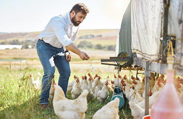 Image showing Farmer feed chicken, agriculture and man outdoor, poultry and healthy livestock, diet and free range agro business. Sustainability, farming and nature, environment and animal nutrition in countryside