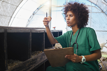 Image showing Veterinary, farm and black woman with egg and clipboard for health checklist, wellness and inspection. Chicken farming, animal healthcare and nurse for medical report, analysis and growth results