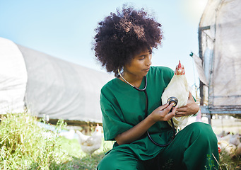 Image showing Veterinary, farm and black woman with stethoscope and chicken for inspection, wellness and exam. Poultry farming, agriculture and nurse with tool for animal healthcare, analysis and medical care