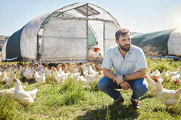 Image showing Man on farm, chicken and agriculture, thinking about livestock agro business and sustainability, organic poultry outdoor. Vision, farmer and mindfulness, animal farming and look at countryside view