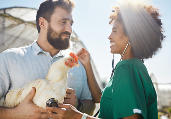 Image showing Veterinary, farm and doctor and nurse with chicken for health check, wellness and inspection. Poultry farming, animal healthcare and vet team with stethoscope for medical care, analysis and exam