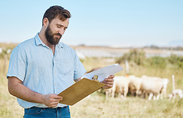 Image showing Farmer, thinking or clipboard paper on livestock agriculture, countryside environment or nature land for sheep growth management. Man, farming or worker and documents for animals healthcare insurance