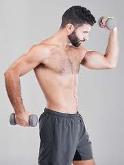 Image showing Bodybuilder man, studio and dumbbells for training, fitness and muscle development by gray background. Model, healthy strong body and exercise for wellness, growth and goals for motivation at workout