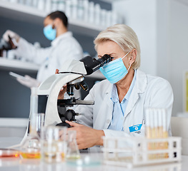 Image showing Scientist woman, microscope and bacteria analysis in laboratory for research at pharma company. Science team, man and data analytics in biotechnology for goals, vision and study to stop covid in lab