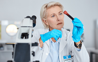 Image showing Senior woman, doctor and hands with blood sample, vial or tube for scientific research, testing or exam in a lab. Elderly female scientist or medical expert holding DNA for science test at laboratory