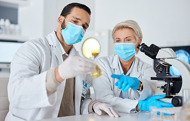 Image showing Science, glass beaker and team of scientists working in a laboratory for research, experiment or analysis. Innovation, teamwork and professional scientific researchers with face mask in the lab.