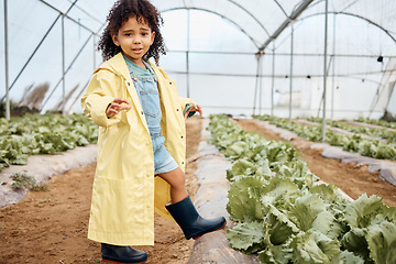 Image showing Kid, talking or girl in farming portrait, greenhouse or agriculture land education in sustainability field growth. Child, learning or gardening boots in countryside nature with lettuce agro questions