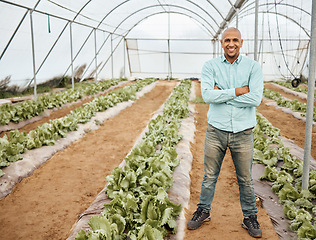 Image showing Man, farmer and smile with arms crossed for agriculture farming in greenhouse, sustainability or crop harvest. Portrait of male on farm with fresh vegetable produce, green and eco friendly production