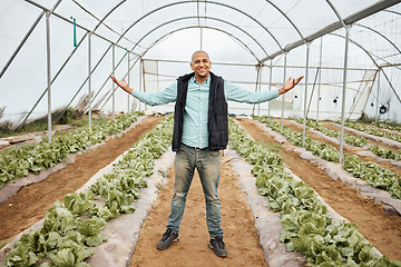 Image showing Farmer, portrait or arms up in farming success, greenhouse vegetable harvest or agriculture land growth in sustainability field. Smile, happy or winner farming man and pride hands for lettuce victory