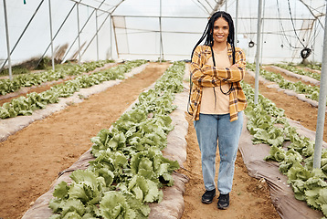 Image showing Farmer, portrait or arms crossed in greenhouse, agriculture field or sustainability nature with lettuce growth goals. Smile, happy or confident woman with farming mindset, vegetables success or ideas