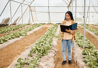 Image showing Farmer, clipboard and writing in farming check, greenhouse analytics or lettuce growth research in crop compliance. Agriculture, countryside and garden field for inspection woman or food management