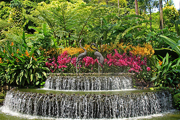 Image showing Botanical garden in Singapore