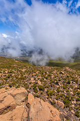 Image showing Bale Mountain landscape, Ethiopia