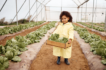 Image showing Child, portrait or harvesting vegetables in container, greenhouse land or agriculture field for export logistics sales. Smile, happy or farming kid and crate for lettuce help or food crops collection