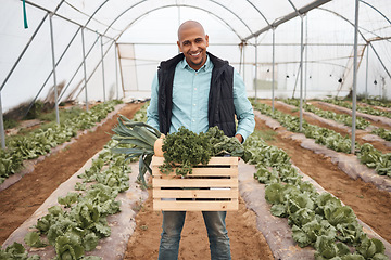 Image showing Man, portrait and harvesting vegetables in crate, greenhouse land or agriculture field for export logistics sales. Smile, happy and farmer with container for food crops collection or customer retail