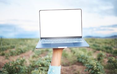 Image showing Farm, agriculture and sustainability with a laptop in the hand of a farmer outdoor in a crop field during the harvest season. Farming, agricultural and sustainable research with a computer outside