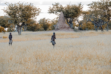 Image showing Himba boys, indigenous namibian ethnic people, Africa