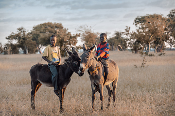 Image showing Himba boys, indigenous namibian ethnic people, Africa