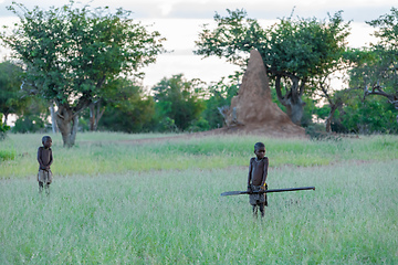 Image showing Himba boys, indigenous namibian ethnic people, Africa