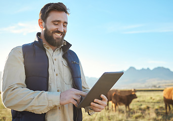 Image showing Checklist, cow or agriculture man with tablet on farm for sustainability, production or industry growth research. Agro, happy or farmer on countryside field for dairy stock, animals or food